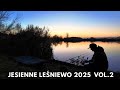 Jesienne Leśniewo 2025 vol.2