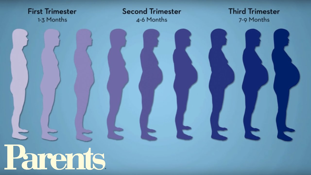 Diet Chart For 5 Week Pregnancy