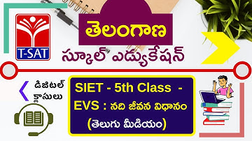 T-SAT || SIET - 5th Class  - EVS : నది జీవన విధానం (T /M ) || 04.01.2021