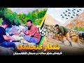 Hunting And Tradition Of Sparrow Wall In Afghanistan Documentary Of Afghan People 