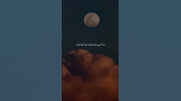 قران كريم انشروااا+اجر لي ولكم🤍🕊