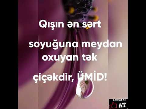 Dini gozel video instagram whatsap ve tiktok ucun  #video #status #ucun