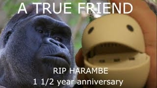 A TRUE FRIEND (RIP HARAMBE) - 1 1/2 Year Anniversary Otamatone Cover