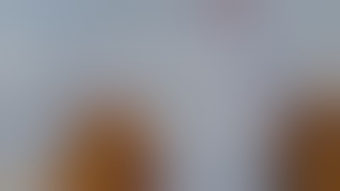 How Many Bricks In One Cubic Feet - Explained In Details