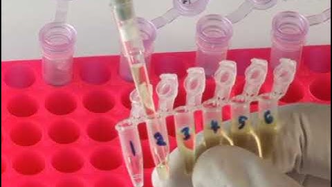 Primer Extension Capture: Targeted Sequence Retrieval from DNA Sources with High DNA Degradation