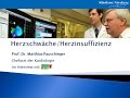 Herzschwäche / Herzinsuffizienz: Behandlung im Klinikum Nürnberg