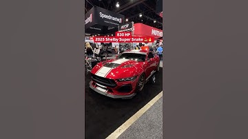 Would you take a Shelby Supersnake over a Mustang GTD? 🐍🤩#Ford #Shelby #Mustang #SuperSnake