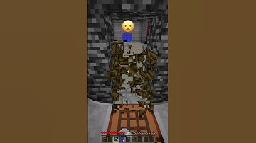 Sneaking to Ender Portal Door vs Prohibited Emoji Reaction #shorts #minecraft #memes