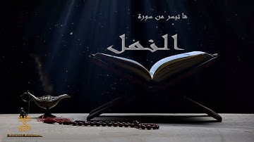 " من جاء بالحسنة فله خير منها " تلاوة رائعة بصوت | القارئ محمد محمدي