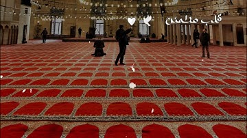 صلاة التراويح رمضان 2024 | تلاوة مؤثرة بأجمل الأصوات 🌙