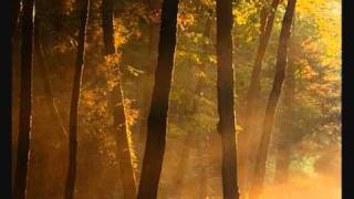 Dan Gibons Solitudes - The Fallen Leaves chords