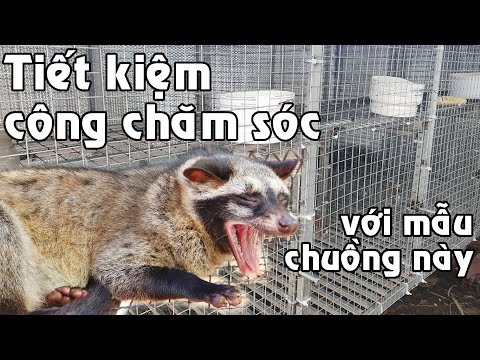 Chuồng nuôi nhiều ưu điểm sẽ tiết kiệm nhiều thời gian | Kỹ thuật nuôi chồn hương | Chuyện nhà nông Chuồng nuôi nhiều ưu điểm sẽ tiết kiệm nhiều thời gian | Kỹ thuật nuôi chồn hương | Chuyện nhà nông