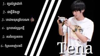 ជ្រើសរើសបទពេញនិយមប្រចាំឆ្នាំ2024 ច្រៀងដោយ ថេណា- Tena , Album Tena Song 2024