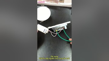 Hướng dẫn đấu nối và cấu hình công tắc cảm ứng thông minh Leto