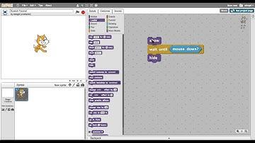 Scratch 2.0 Tutorial Video:Wait Until