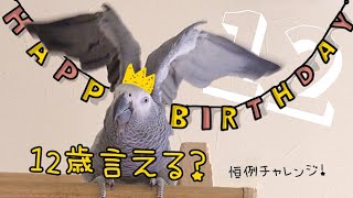 １２歳になりました！自分の年齢は言える？誕生日チャレンジ🎂