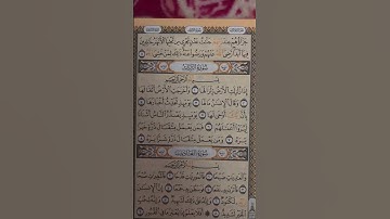 سورة الزلزله للشيخ مشاري راشد العفاسي لتعليم