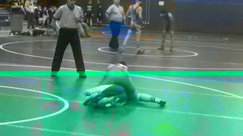 ALIM5062 2012-2013 season Amanda Nelson Chicopee C...