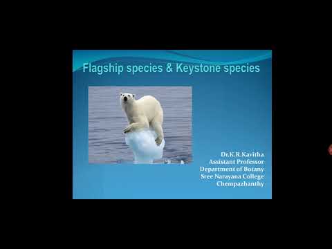 Flagship species & Keystone species - YouTube