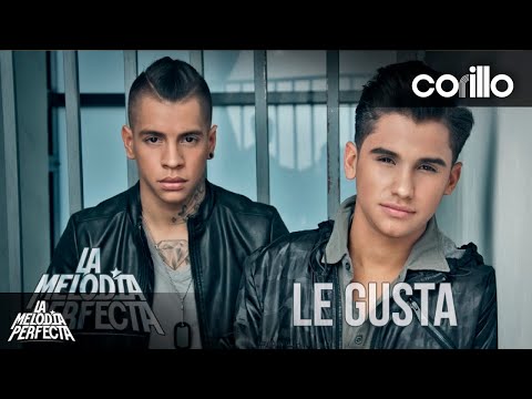 La Melodía Perfecta - Le Gusta (Audio)