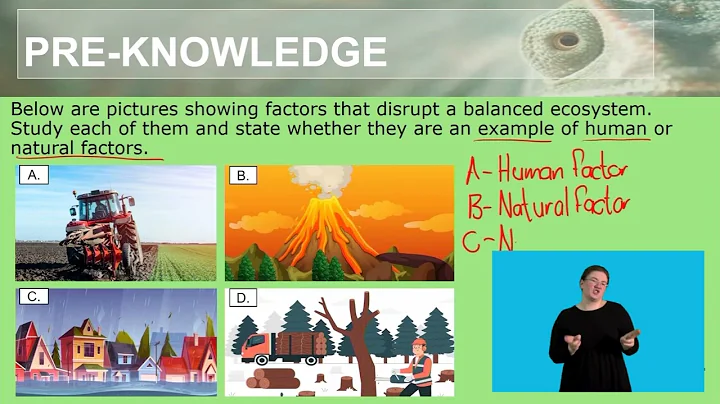 Natural Sciences Grade 8   Adaptations Video 1 Segment 1