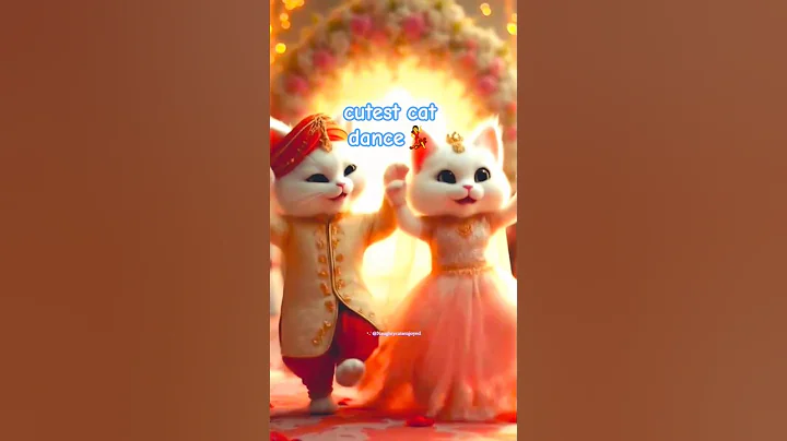 Video 11225431: cat kitten dancing, cutest cat funny dance