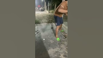 #Shorts Báo cá tra năm 2024 clip 1 - Hồ Câu Vườn Dừa ấp Ngã Tư, xã Nhuận Đức, huyện Củ Chi, TP HCM