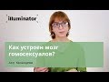 Как устроен мозг гомосексуалов?