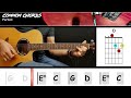 Perfect  ed sheeran  guitar lesson  common chords