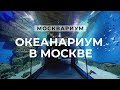 Океанариум в Москве «Москвариум» на ВДНХ (Oceanarium in Moscow)