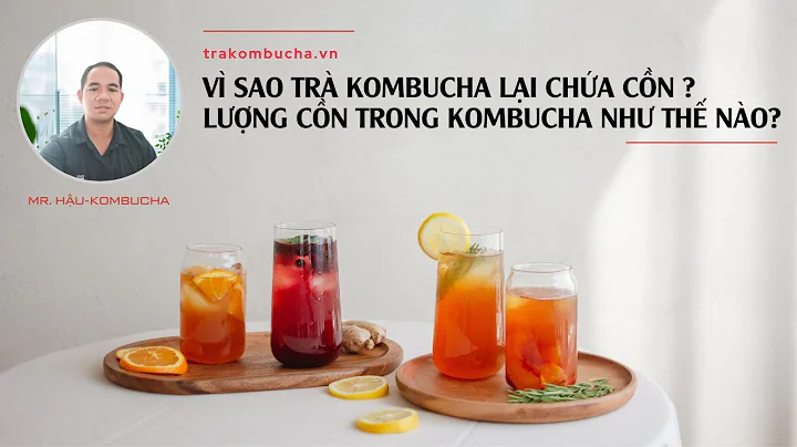 VÌ SAO TRÀ KOMBUCHA LẠI CÓ CỒN? LƯỢNG CỒN NÀY SẼ MANG LẠI LỢI ÍCH GÌ CHO SỨC KHOẺ NGƯỜI DÙNG?
