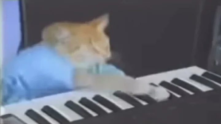 Keyboard Cat (1978-1987) - RIP and you will be missed - Credits for the meme to @keyboardcatreal