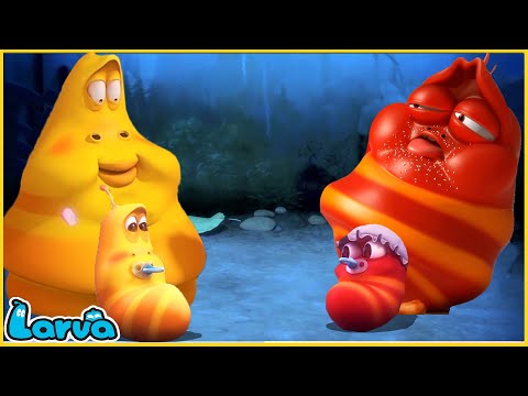 #1 Larva Tuba – ĐỎ SONG SINH – ẤU TRÙNG TINH NGHỊCH – PHIM HOẠT HÌNH LARVA MỚI NHẤT 2022 Mới Nhất