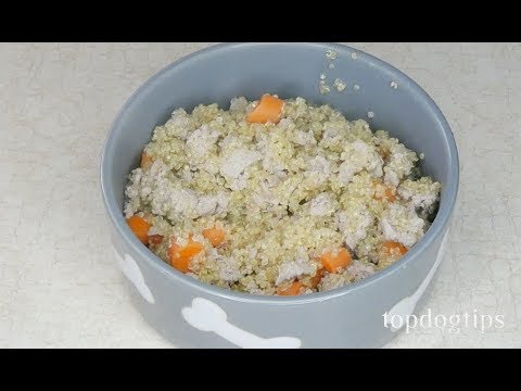 simple-quinoa-dog-food-recipe-(healthy-and-high-in-protein)