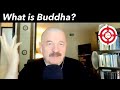 What is buddha  integral zen wisdom