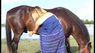 My Girlfriend Cleaning With Care Her Lovely Horse