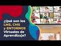 ¿Qué es un LMS y un CMS, para qué sirven? Te explicamos TODO lo que necesitas saber.