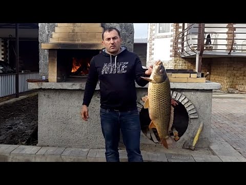 Video: Бышырылган күмүш сазан