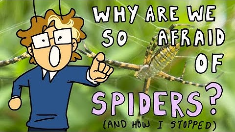 Why We