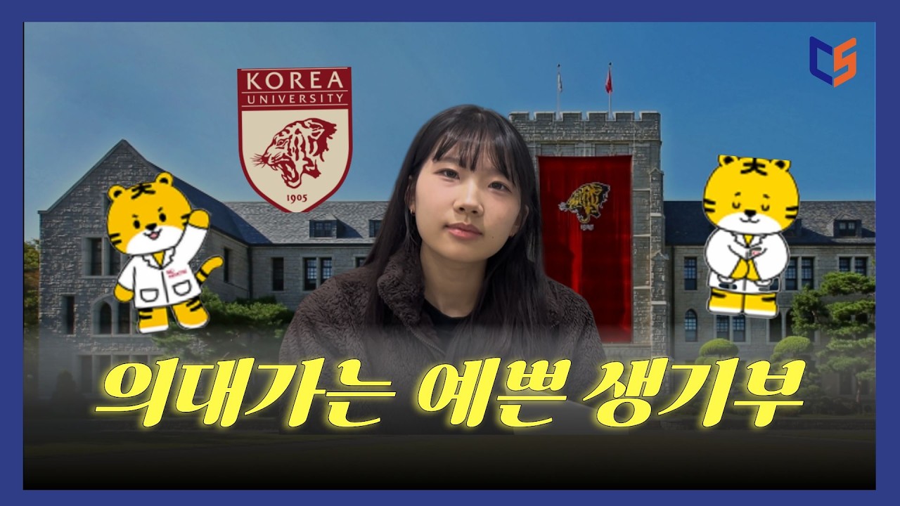 의대가는 예쁜 생기부 | 고대 의대 합격, 서울대 의대, 한림대 의대 면접 썰, 생기부 준비, 내신 총점, 생기부 관리에서 가장 중요한 것, 서울대 의대&한림대 의대 면접 후기