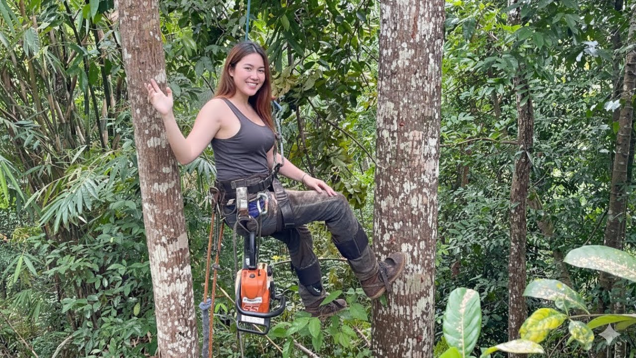 HIGH-RISK OPERATION! FELLING A MAHOGANY TREE BY A STEEP CLIFF