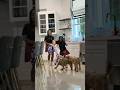 Sisters VS Dog Tug of War 😳😂