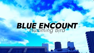 BLUE ENCOUNT 「ハミングバード」（Lyric Short Video）【TVアニメ『あひるの空』オープニングテーマ】