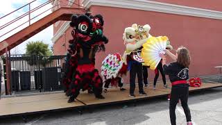 Part 8 Little Tao Dragon Lion Dance &amp; Demo