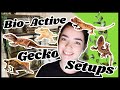 Bio-Active Gecko Setup! (re-doing my gecko cages!!)