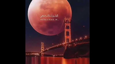 القارئ :-اسلام صبحي. اجر لي ولكم♥️♥️