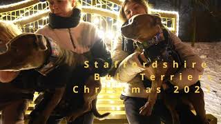 Staffordshire Bull Terrier - Christmas walk in park by Stafficzki Spiczki FCI  560 views 5 months ago 55 seconds