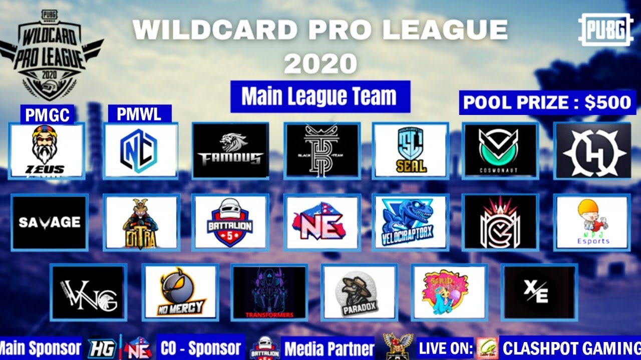 PUBG Mobile Wildcard PRO League 2020 Week 3 Day 2 | ClashPot