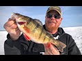 Ice fishing perch  everything you need to know