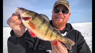 Ice Fishing Perch – EVERYTHING You Need To Know